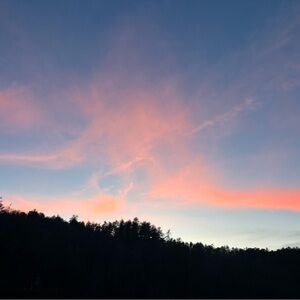 Meet your Posher, Sally